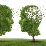 Alzheimer y demencia - fisioterapia